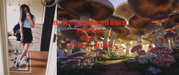 гашик Гусиноозёрск