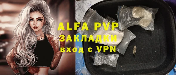 гашик Гусиноозёрск